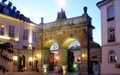 Pilsen – Sports...and Beer!