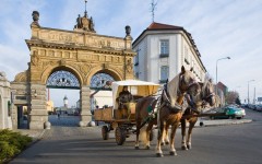 Pilsen – die Bierhauptstadt