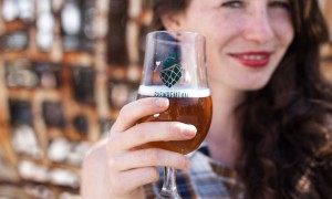 27.-28.5.2017: Brewstock - Pilsner craft beer festival for 1 day and night