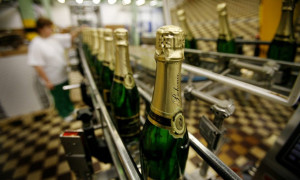 3. Half day program – BOHEMIA SEKT SPARKLING WINE FACTORY (Wed 2nd Oct 2024)