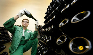 2. Half day program – BOHEMIA SEKT SPARKLING WINE FACTORY (Wed 2nd Oct 2024)