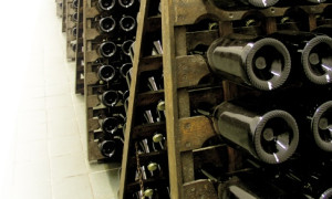 2. Half day program – BOHEMIA SEKT SPARKLING WINE FACTORY (Wed 2nd Oct 2024)