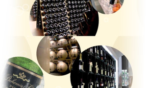 2. Half day program – BOHEMIA SEKT SPARKLING WINE FACTORY (Wed 2nd Oct 2024)